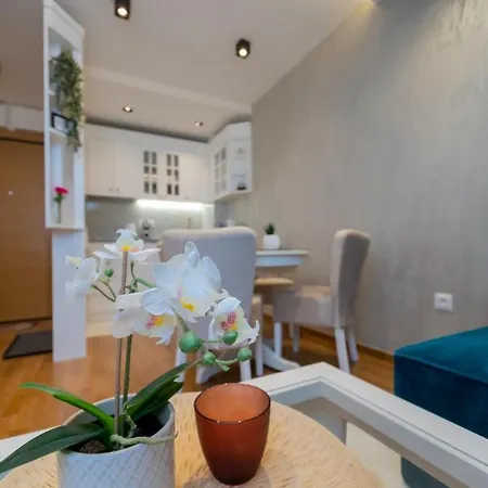 Apartment Apartman Lukic, Vila Elsa 2
